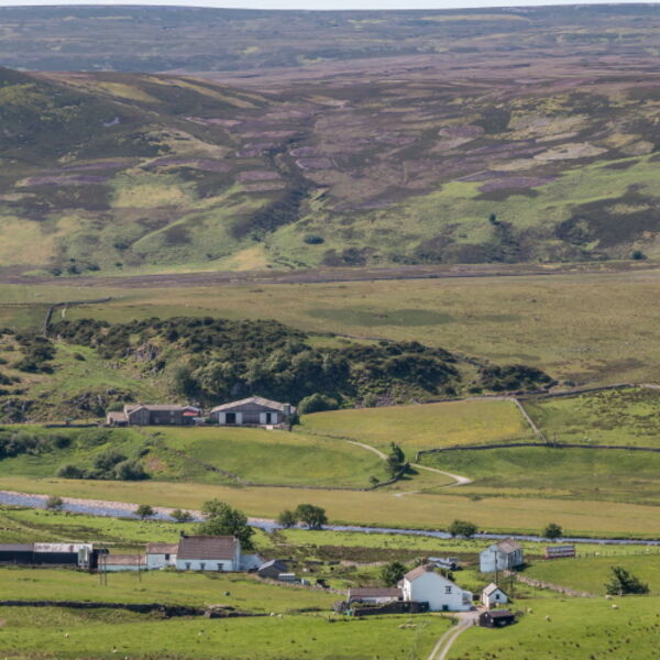 Cronkley and Birk Rigg from High Hurth Edge