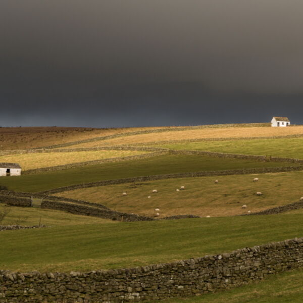 Bowlees Bright Interval