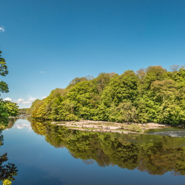 Reflection Perfection