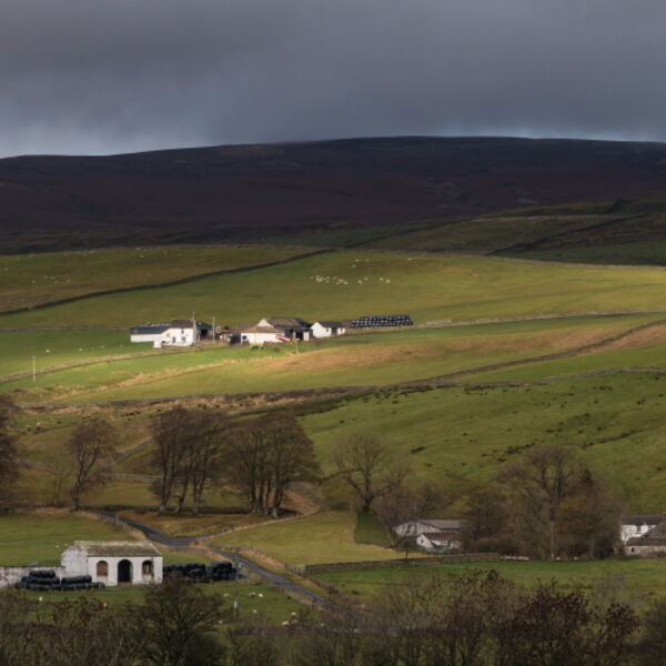 Ash Dub in the Spotlight