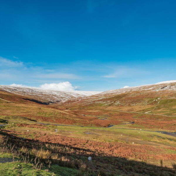 The Hudes Hope from Coldberry