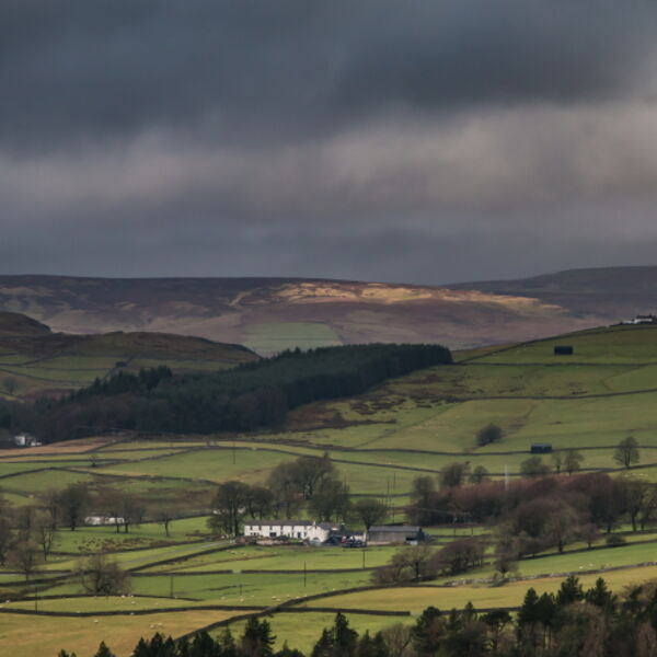 A Bright and Damp Day in Upper Teesdale