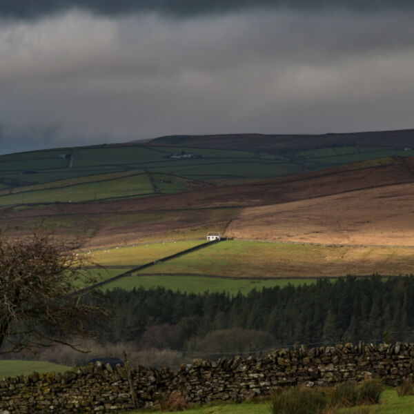 Bowlees Barn in the Spotlight