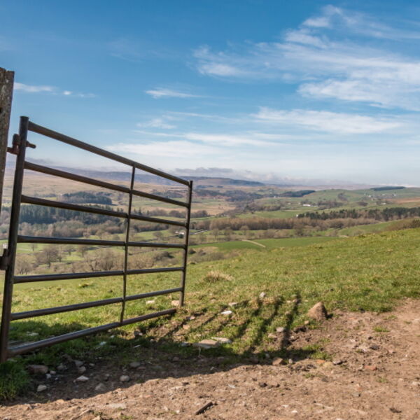 Gateway to Upper Teesdale