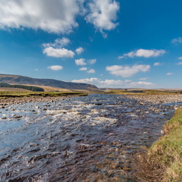 Harwood Beck and River Tees Confluence at Cronkley