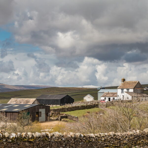 Scar End Farm