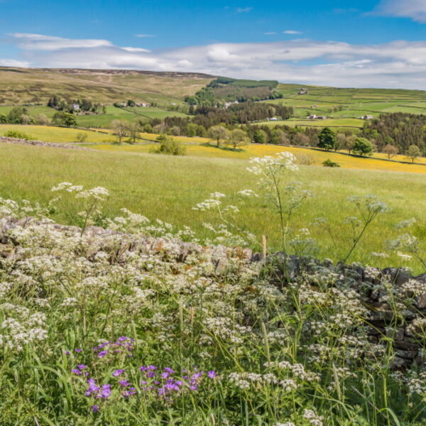 Snaisgill from Aukside in Summer