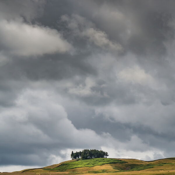 Spotlight on Kirkcarrion