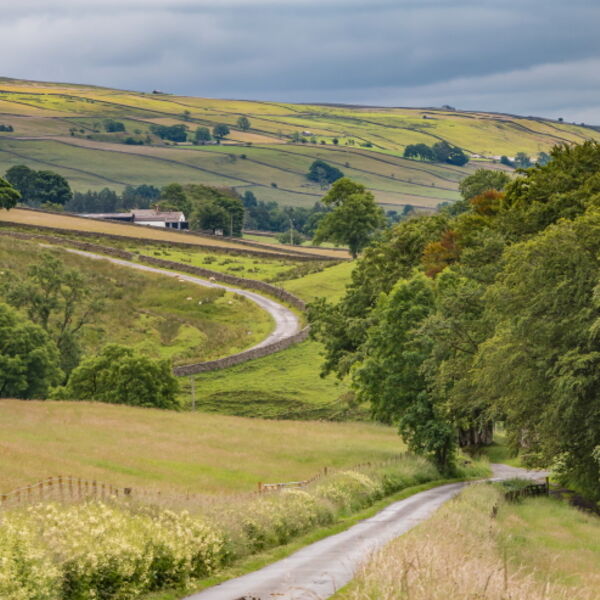 Towards Newbiggin from Ettersgill