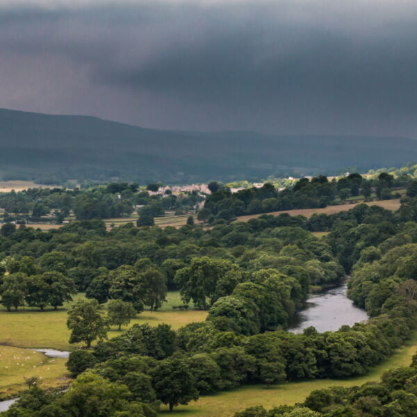 Middleton in the Spotlight