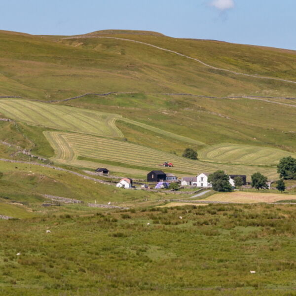Haytime at Marshes Gill