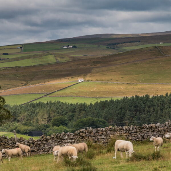 Bowlees barn in the Spotlight