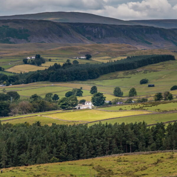 Spotlight on Friar House