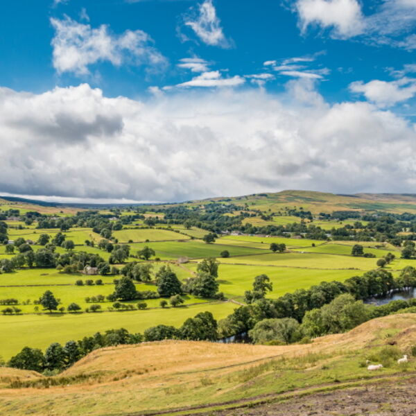 Whistle Crag Big Sky