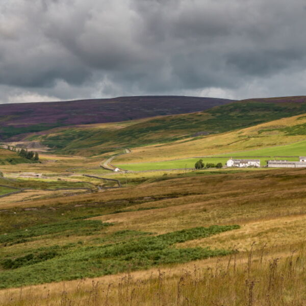 Spotlight on Middle End Farm