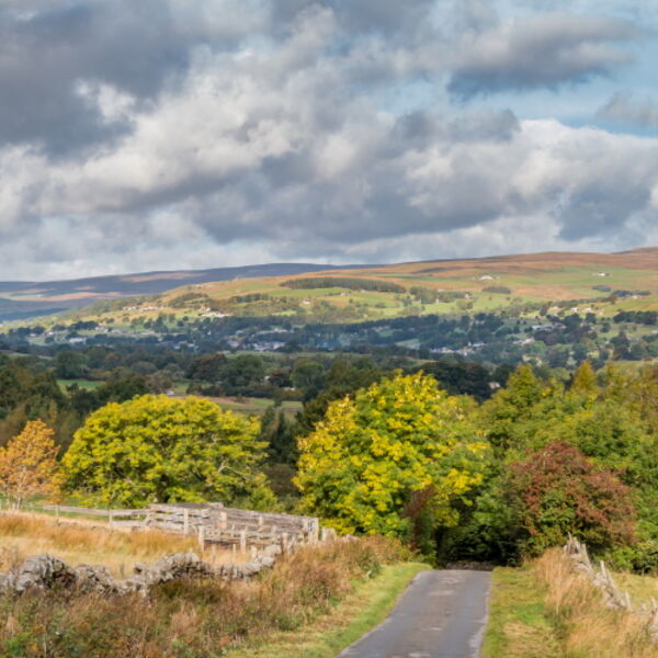Autumn Sunshine Shadows and Colours, Bail Hill, Teesdale