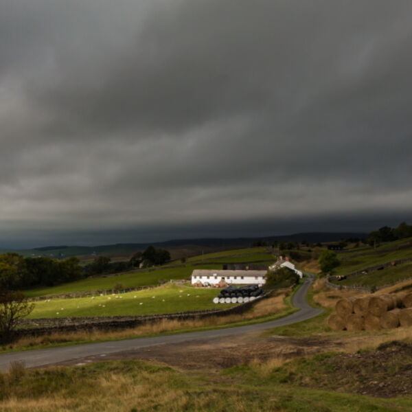 Close Encounters of the Revelin Kind