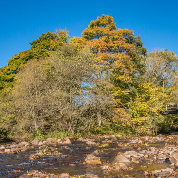 Hudeshope Beck and River Tees Confluence