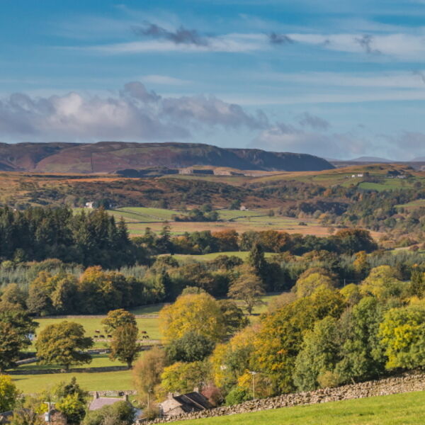 Newbiggin to Cronkley Scar in Autumn