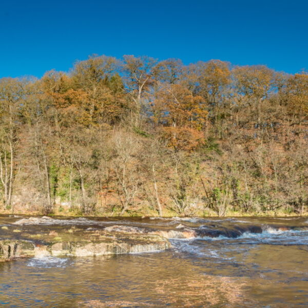 Tees Cascade at Whorlton in late Autumn