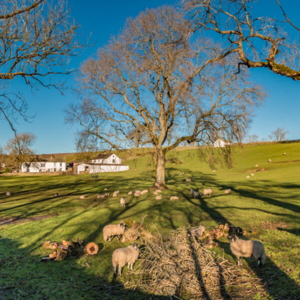 Friar House Farm, Ettersgill