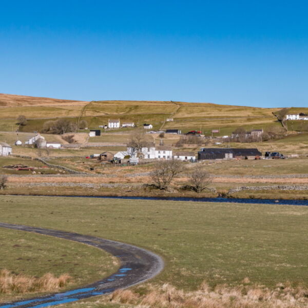 Forest in Teesdale from the Pennine Way at Cronkley