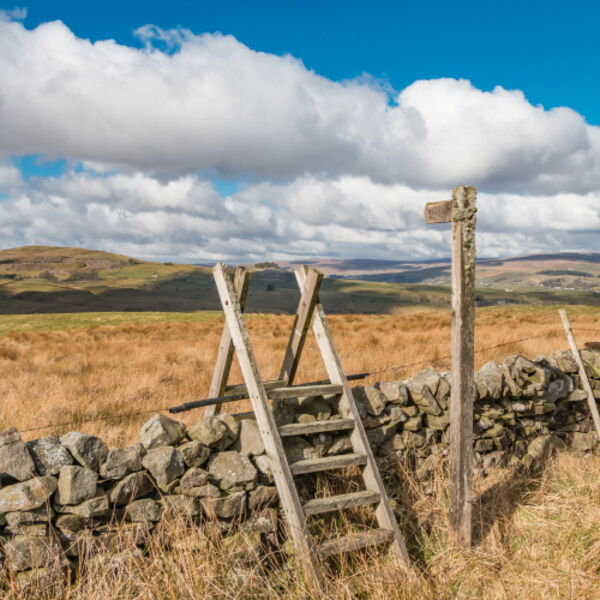 Fingerpost and Ladder Stile into Lunedale