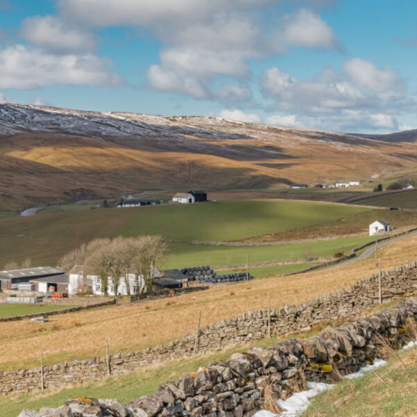 Harwood Farms Upper Teesdale
