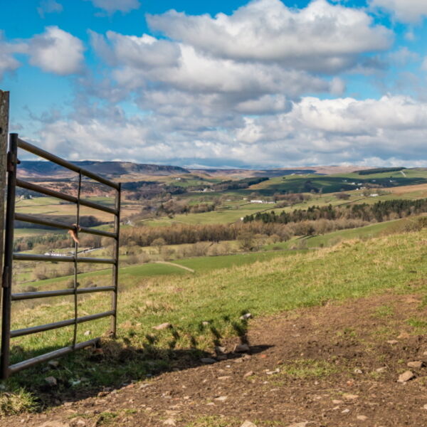 Gateway to Upper Teesdale