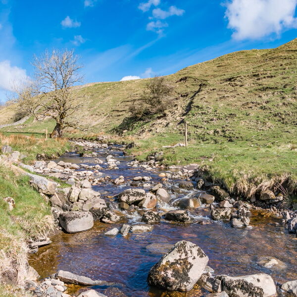 Ettersgill Beck at Birch Bush Farm