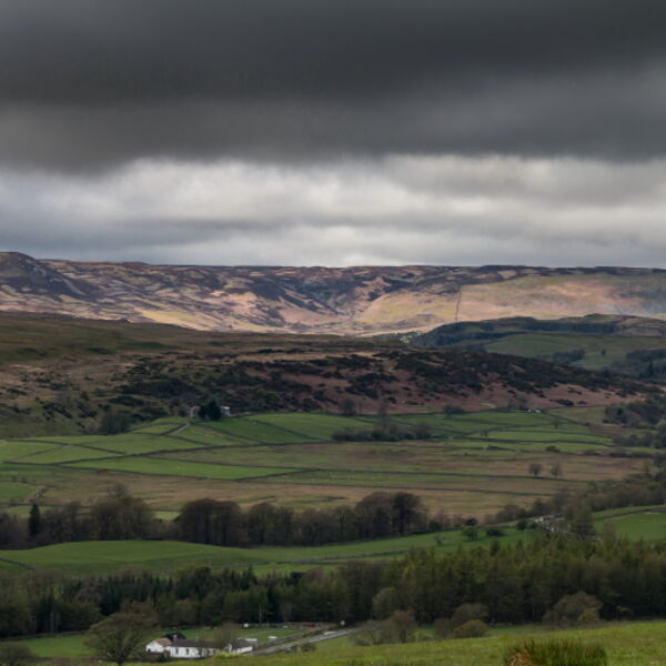 Spotlight on Cronkley Fell