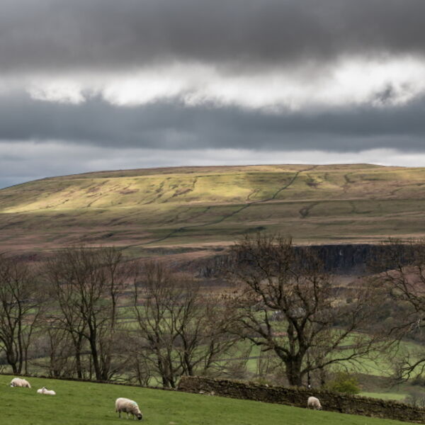 Spotlight on Crossthwaite Fell