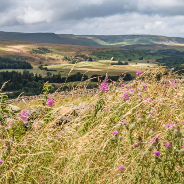Sunshine and Shadows on Upper Teesdale