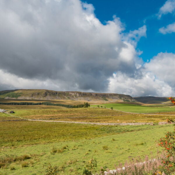 Birk Rigg and Cronkley Scar