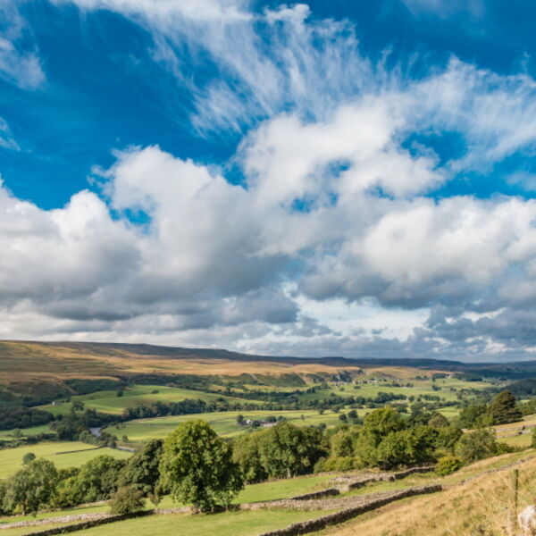Towards Holwick from Middle Side