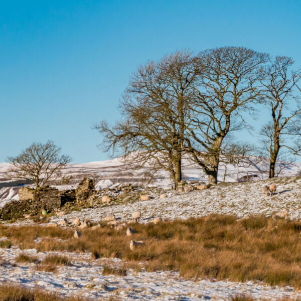 Snowy Toddyshaw Hill