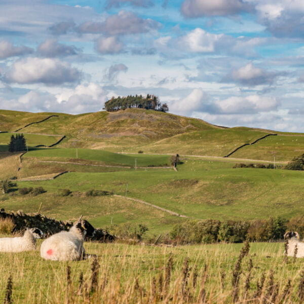 Contemplating Kirkcarrion from Bail Green