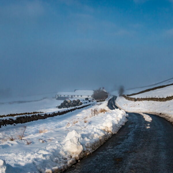 A Little Brightness Approaching Revelin Farm