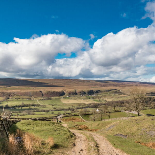 Holwick from Revelin Allotment