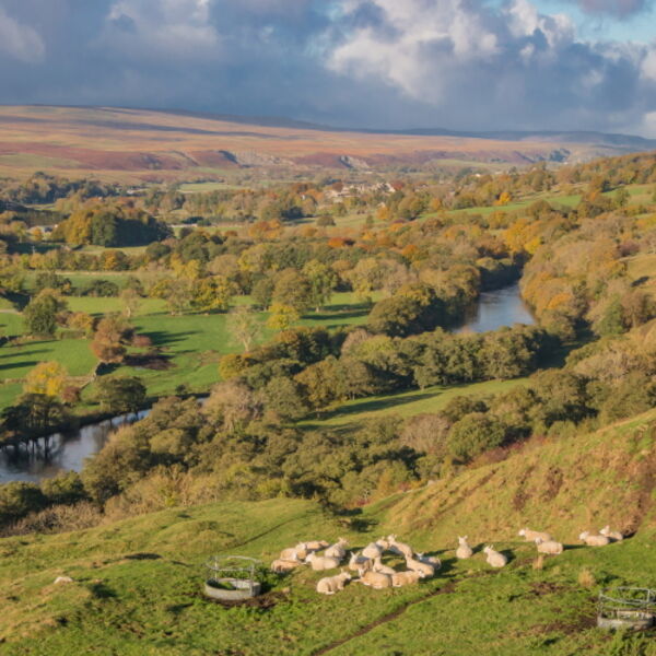 Autumnal Teesdale from Whistle Crag