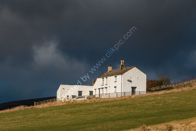 Laneside in the Spotlight