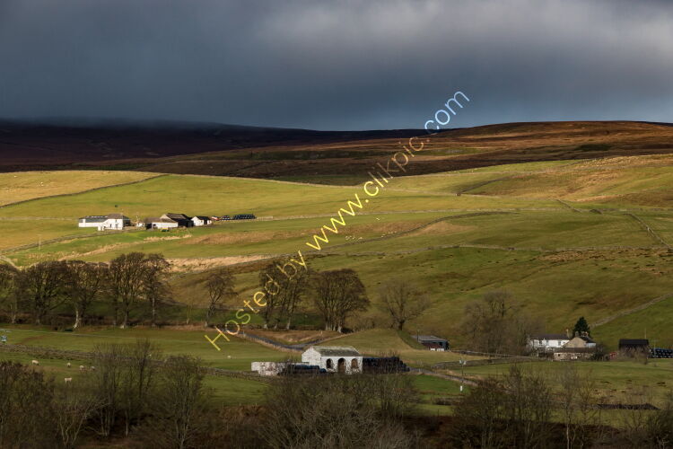 Spotlight on Ash Dub