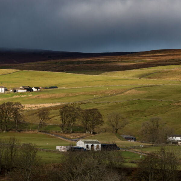 Spotlight on Ash Dub