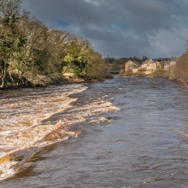 A Swollen River Tees at Barnard Castle, Teesdale