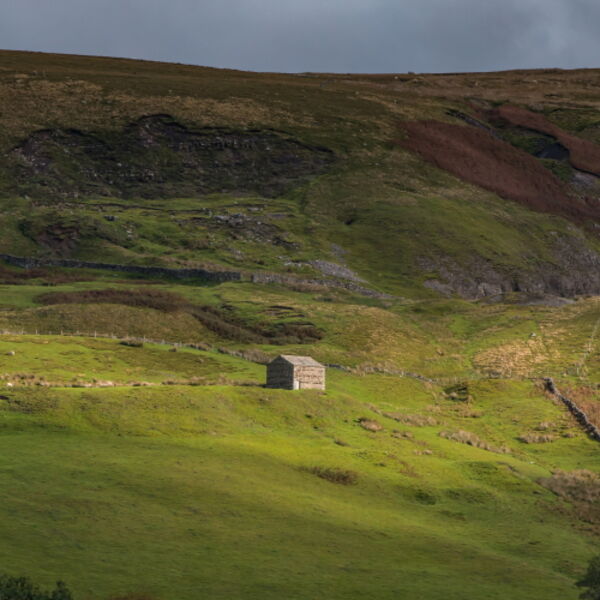 Barn in the Spotlight