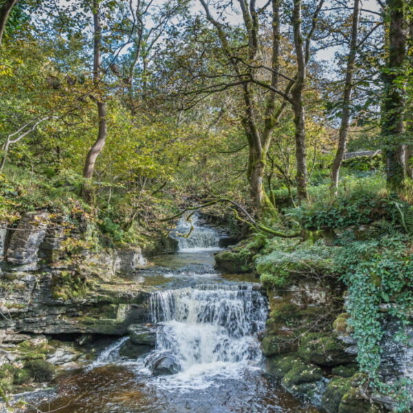 Cray Gill, Upper Wharfedale