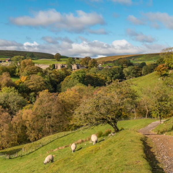 Autumn at Keld