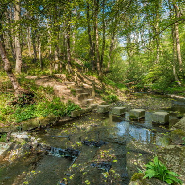 Stepping into Spring