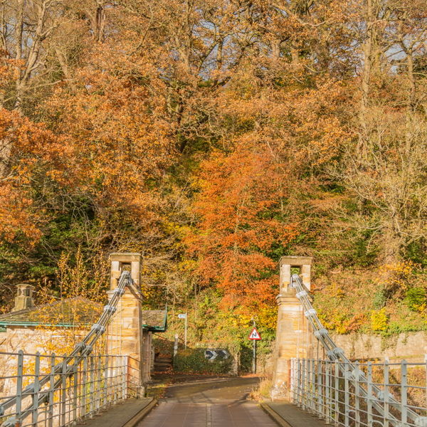 Across Whorlton Bridge in autumn