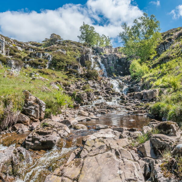 Blea Beck Force in Early Summer